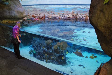 Point defiance aquarium. Things To Know About Point defiance aquarium. 